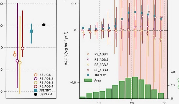 Satellite Data Underestimates Carbon Stored in Mature Forests Worldwide