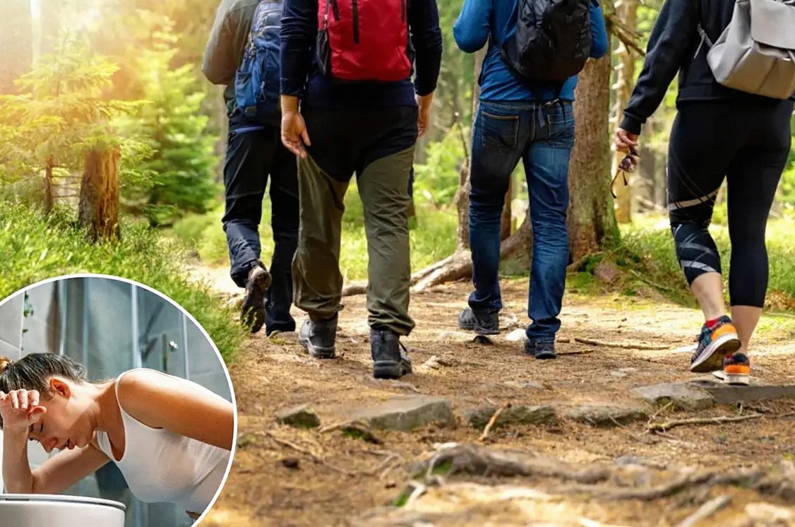 Wild Mushroom Foraging Trend Linked to Deaths and Illnesses Across Multiple States