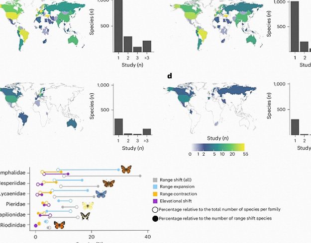 Global butterfly ranges shifting dramatically in response to climate change