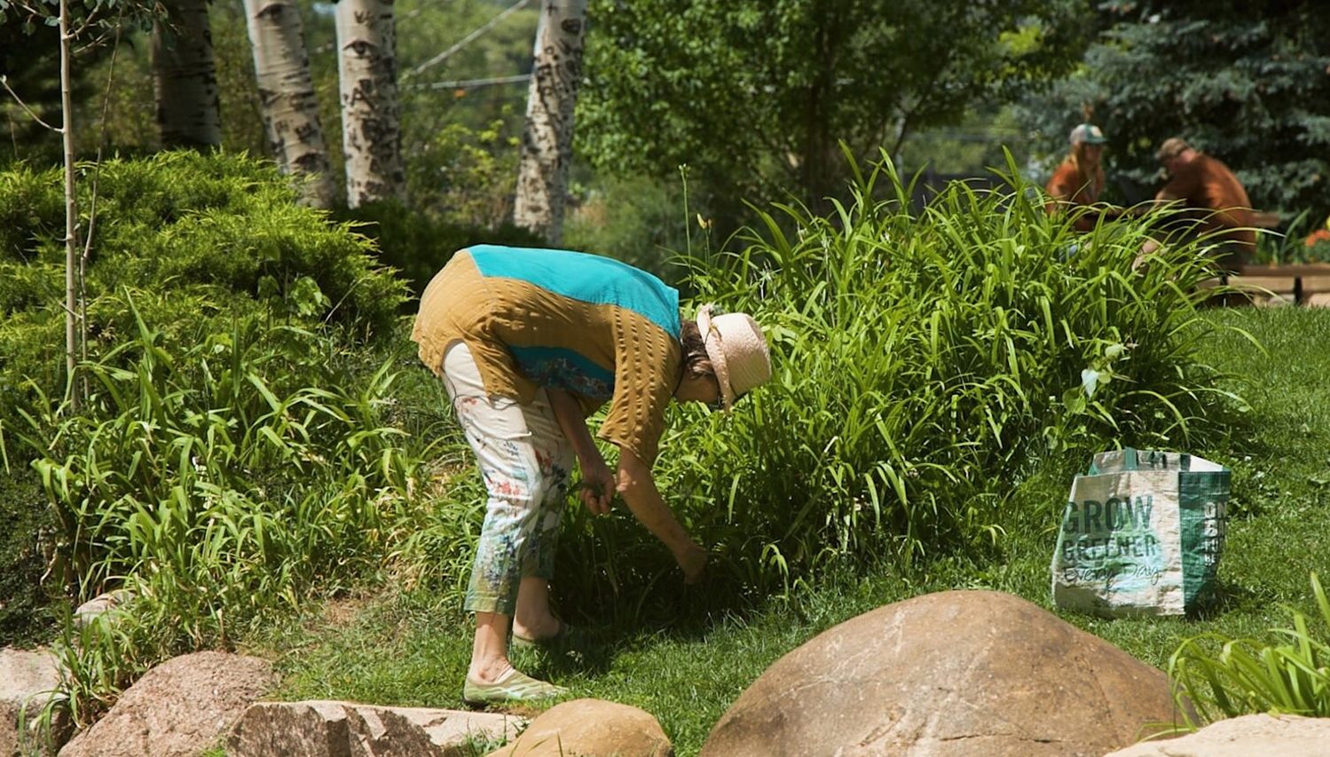 Durango Chef and Forager Finds Edible Plants Growing Along Local Trails